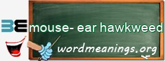 WordMeaning blackboard for mouse-ear hawkweed